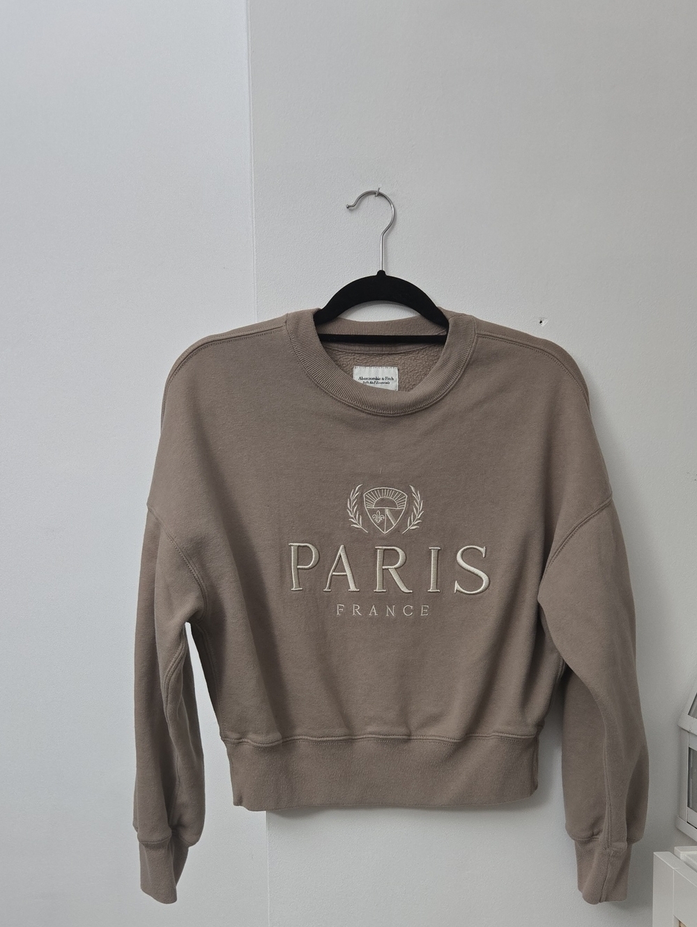 Abercrombie & Fitch Taupe Paris Logo Crewneck Sweatshirt